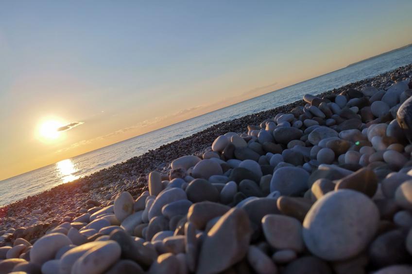 Wohnung 4 - Studio - foto 33