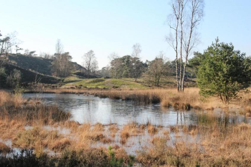 Vakantiepark Leukermeer 7 - foto 32