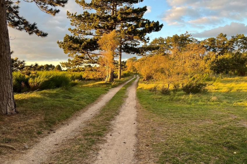 "Fietje" - 200m from the sea - foto 3