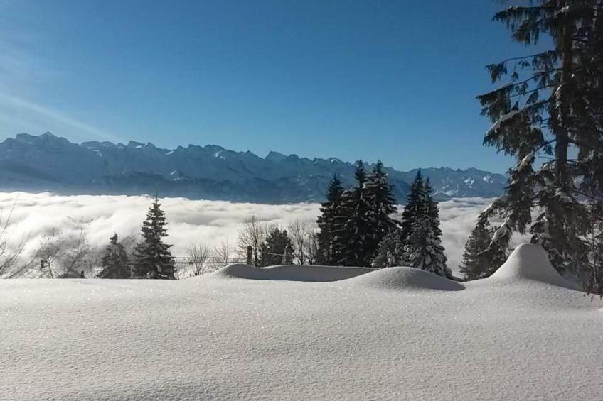 be und mee - foto 14