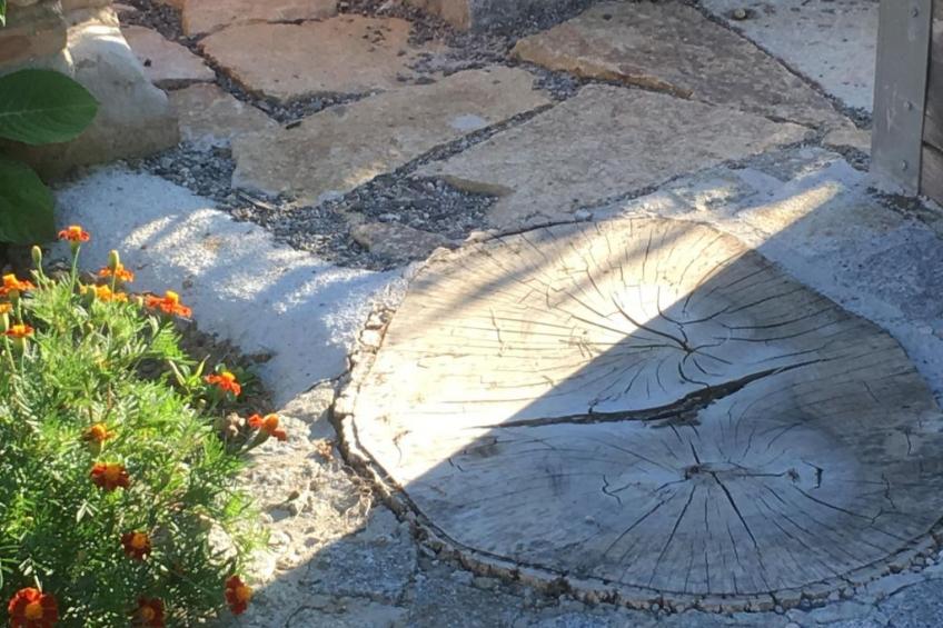 Zillendorf 2 - foto 21