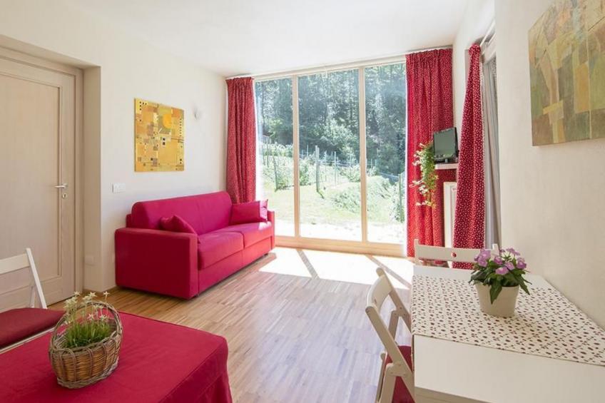 Lampone in San Bernardino Verbano - foto 3