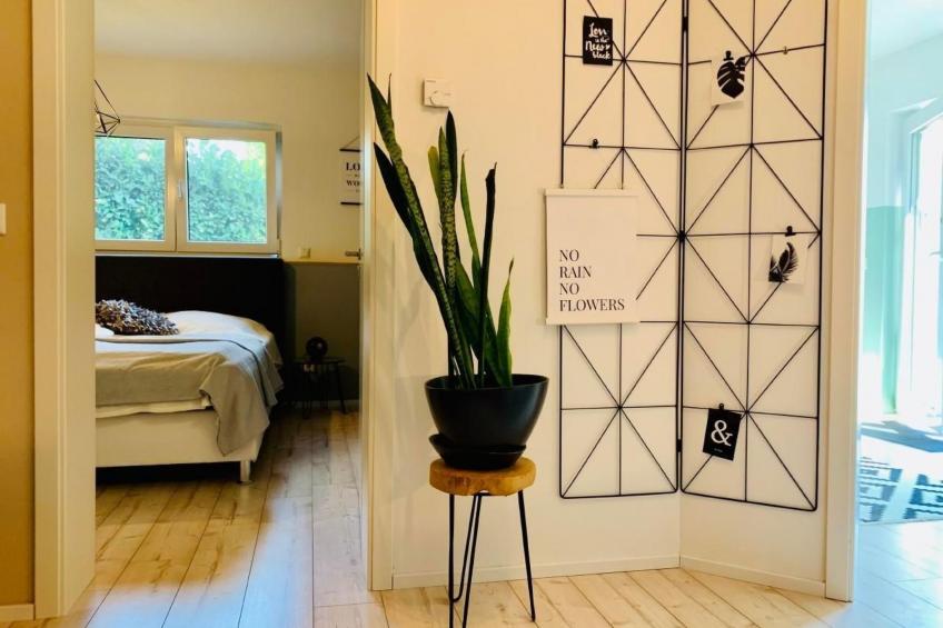 FeWo Oberwinter Bonn - foto 21