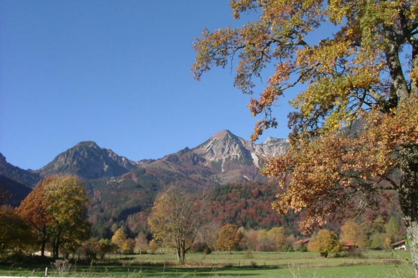 247694 - foto 19