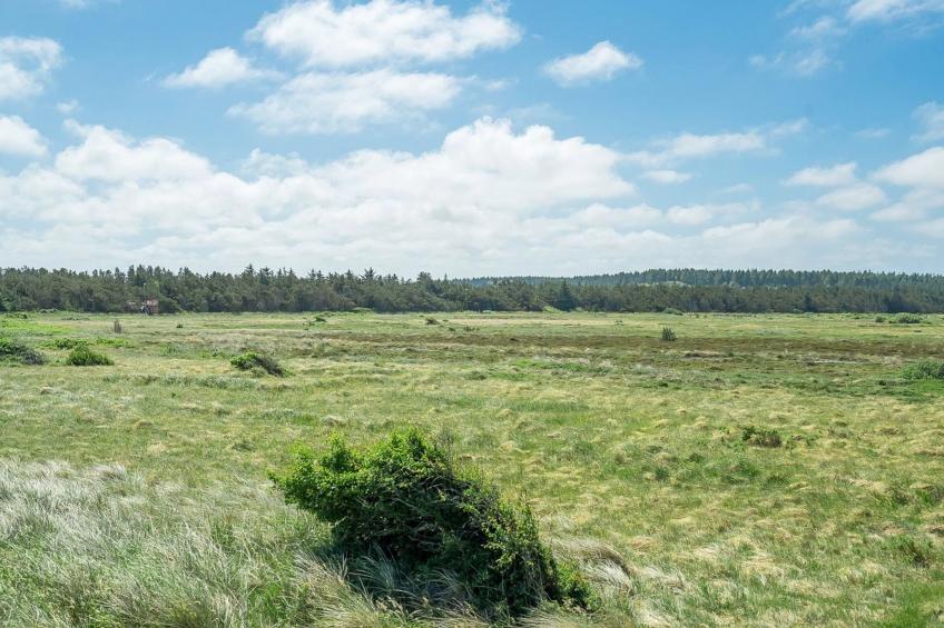 "Tayanita" - 750m from the sea in NW Jutland - foto 8