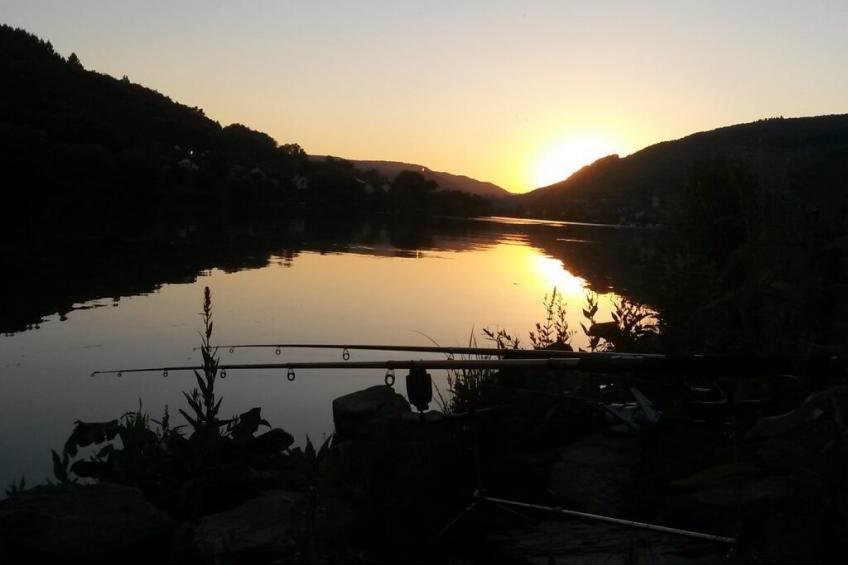 239446 - foto 35