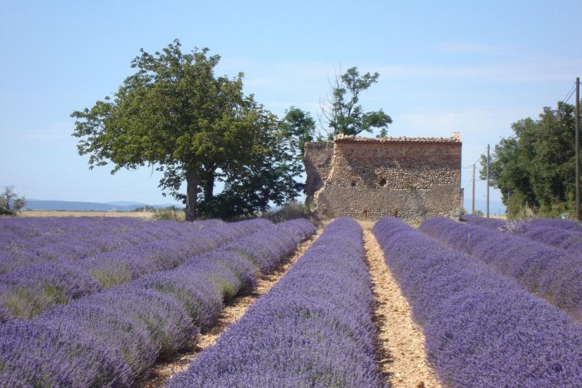 im Luberon Provence - foto 6