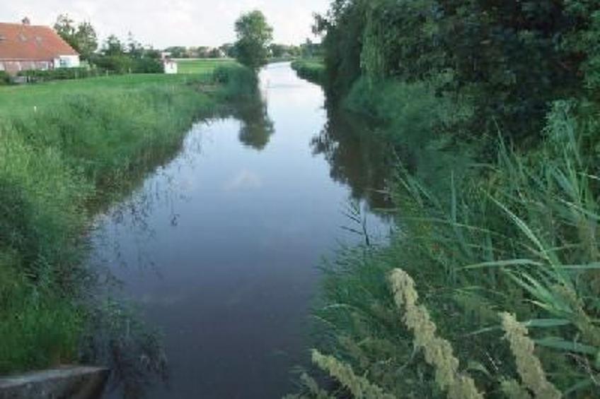 direkt am Wasser in Dornum Westerbur - foto 8