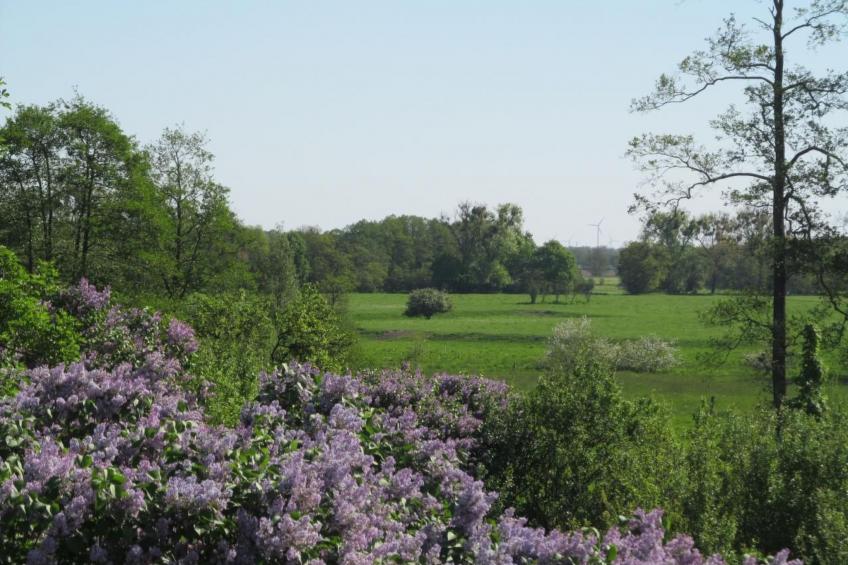 - Uns lütt Hüsung - foto 10