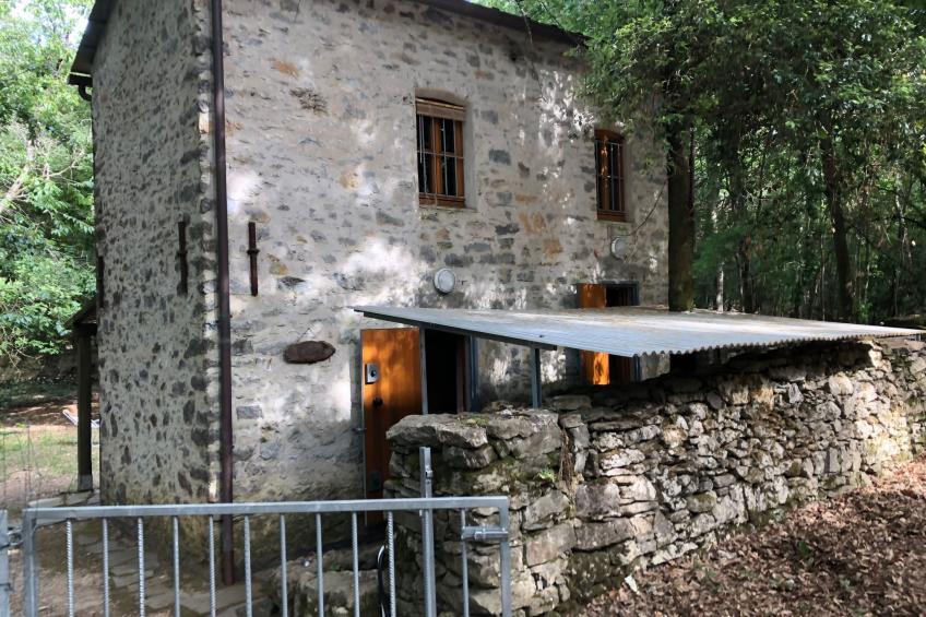 Kirschbäume, eine Oase im Wald zwischen Meer und Natur - foto 3