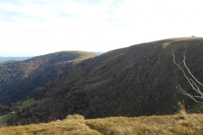 Domaine Des Messires 2 - foto 35