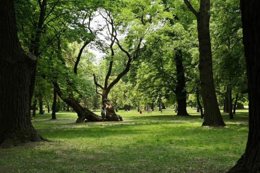 Moderne Ferienwohnung in Ujlipotvaros mit Garten - foto 18