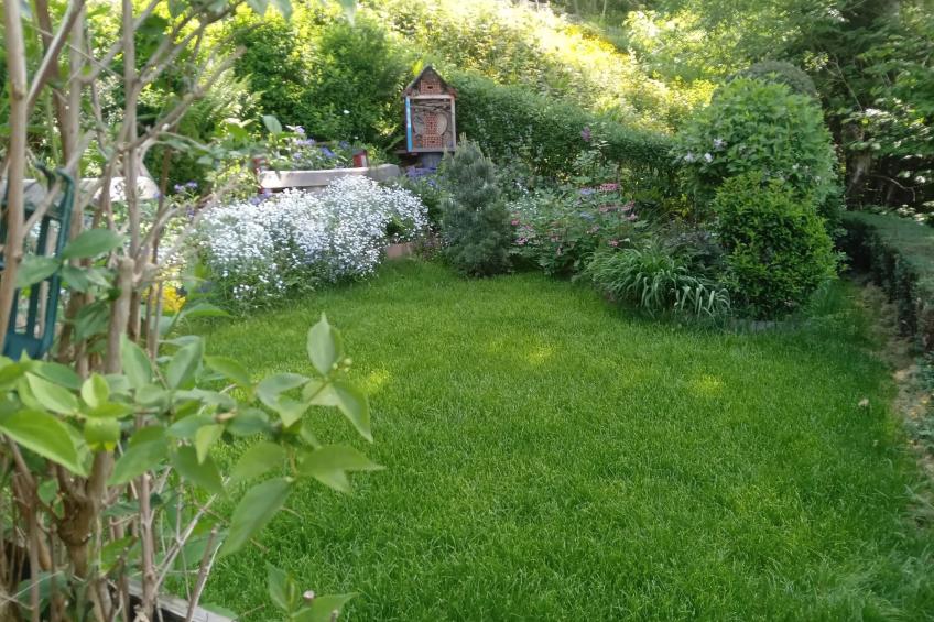 Haus Wiesental - foto 31