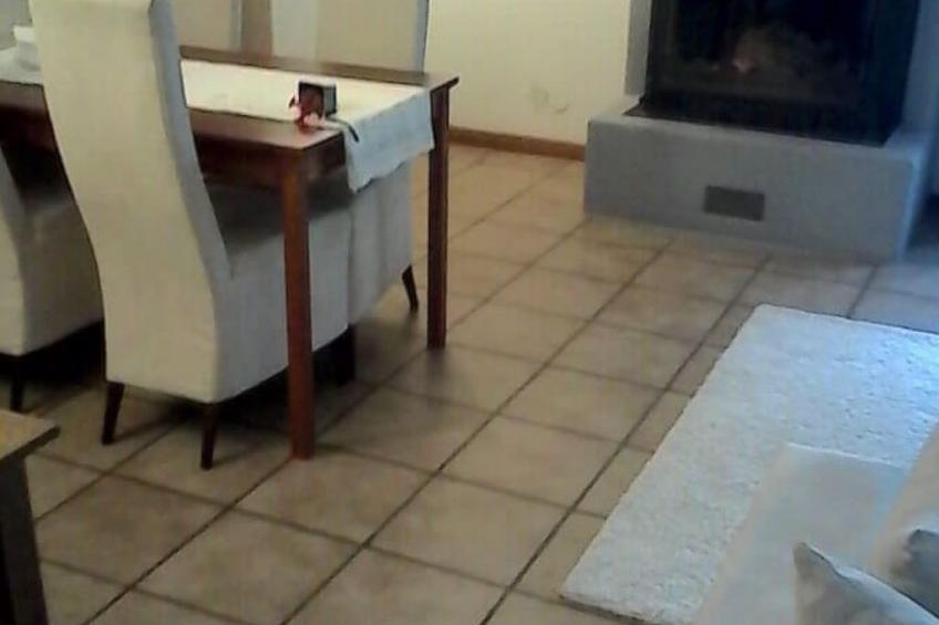 Urlaub am Feigenbaum in Nußloch - foto 9