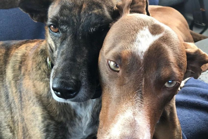 Casa Madera - foto 34