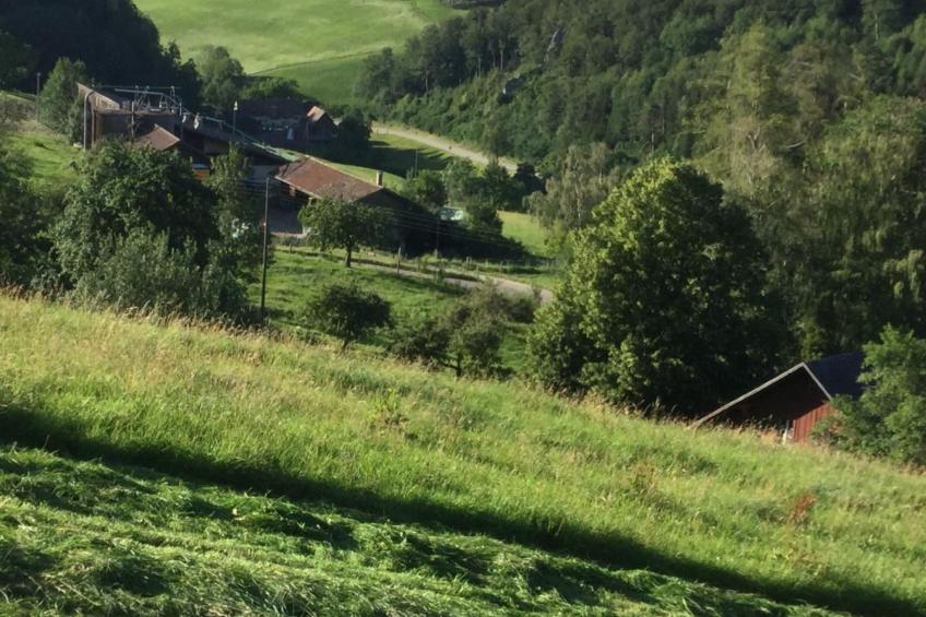 Hof unterer Dürrenberg / Langenbruck - foto 10