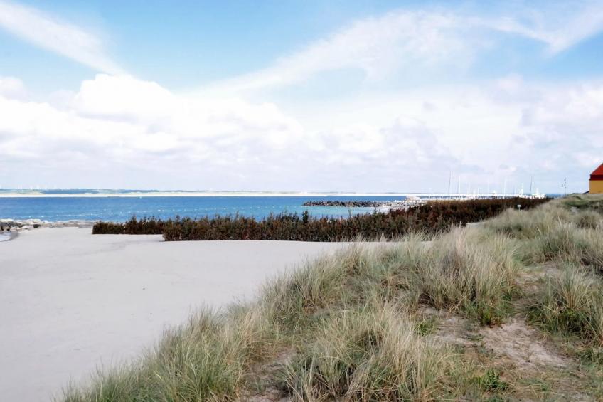 "Eluisa" - 300m from the sea in Western Jutland - foto 14