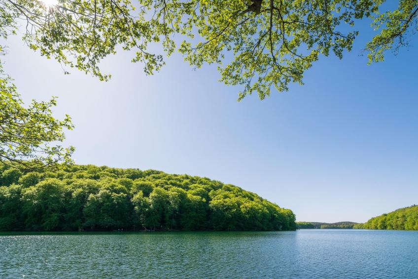 Premium Twin - foto 25