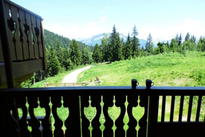 Résidence Tetras Lyre - foto 11