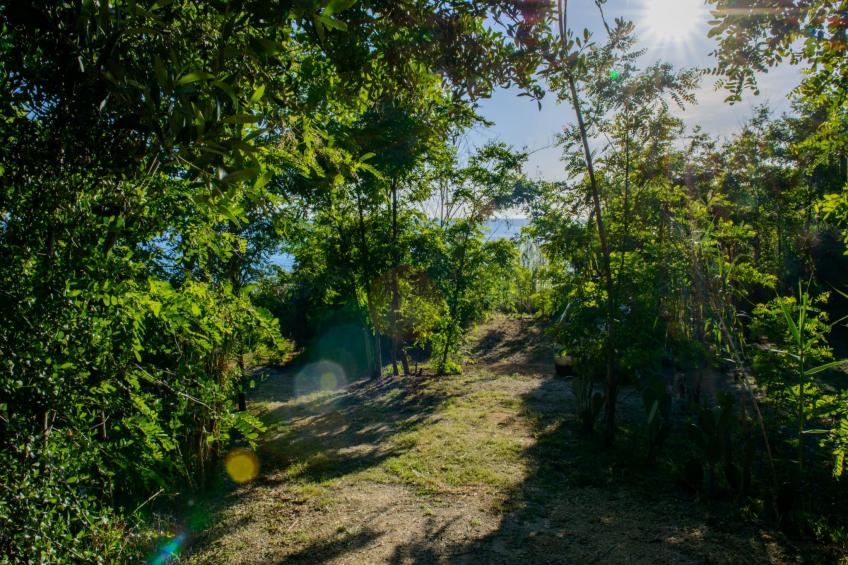 Villa Saline- Villa am Meer - foto 34