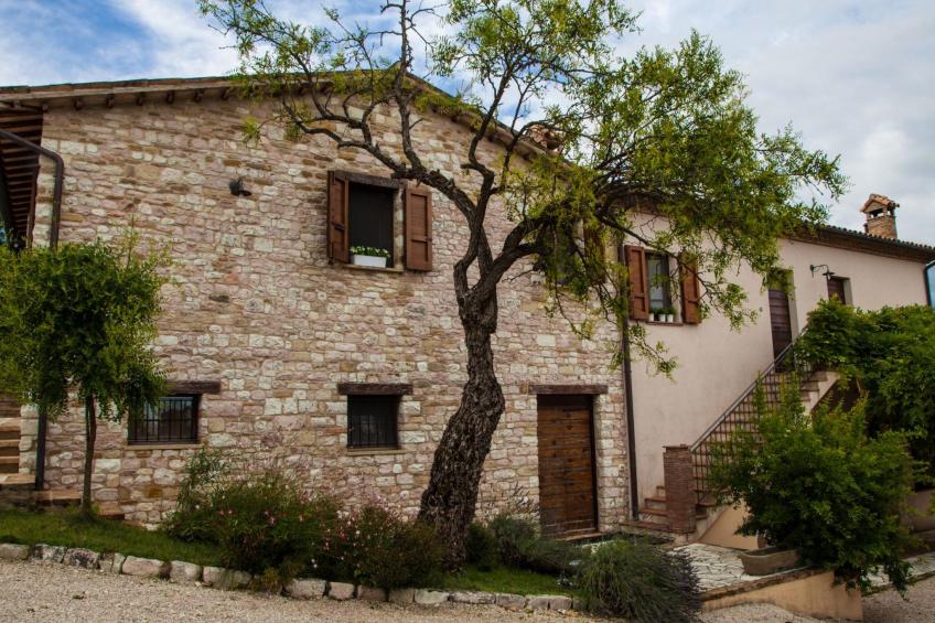 mit Terrasse - foto 2