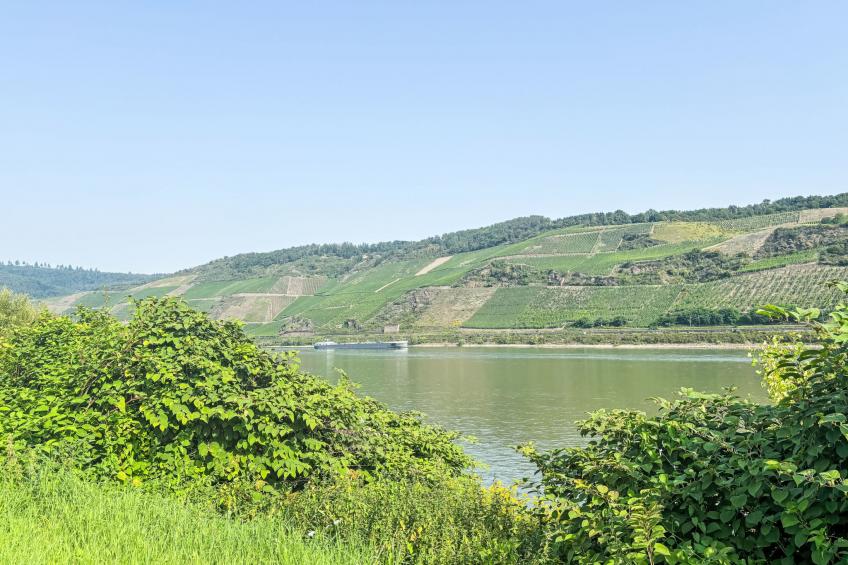 Moderne Wohnung mit Parkplatz und Rheinblick - foto 92