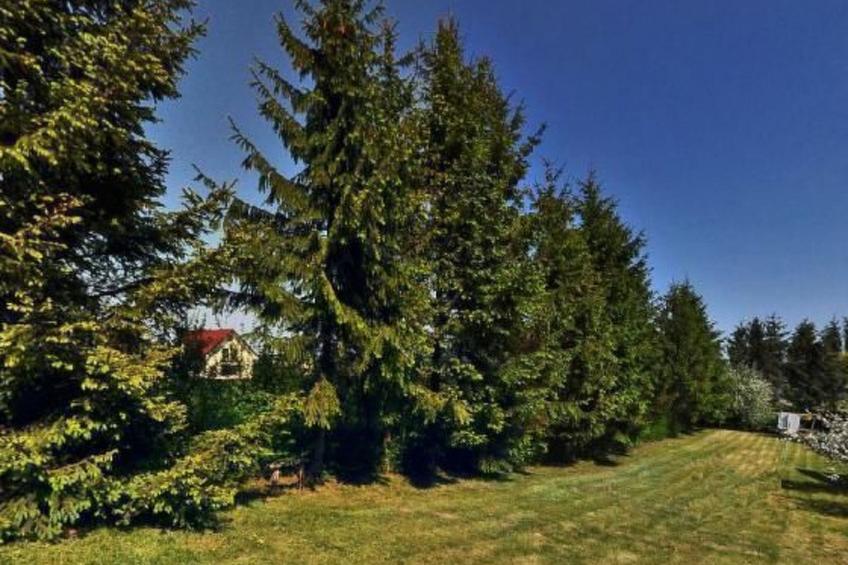 in Swarzewo mit Garten, Terrasse und Grill - foto 3