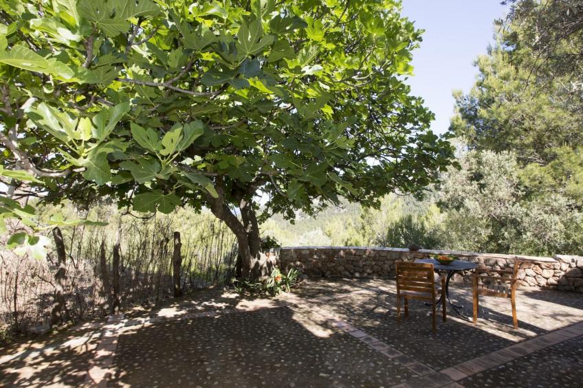 VILLA ES COCO SOLLER - foto 37