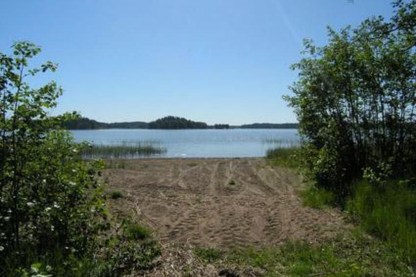Metsämarja - foto 27