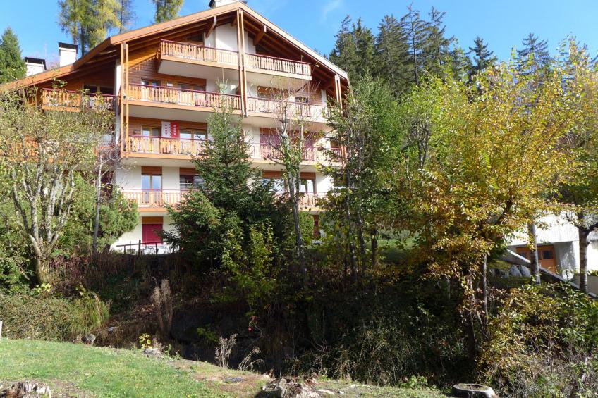 Le Torrent - foto 28