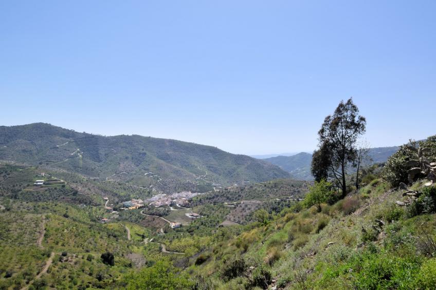 Villa Las Reinas - foto 36