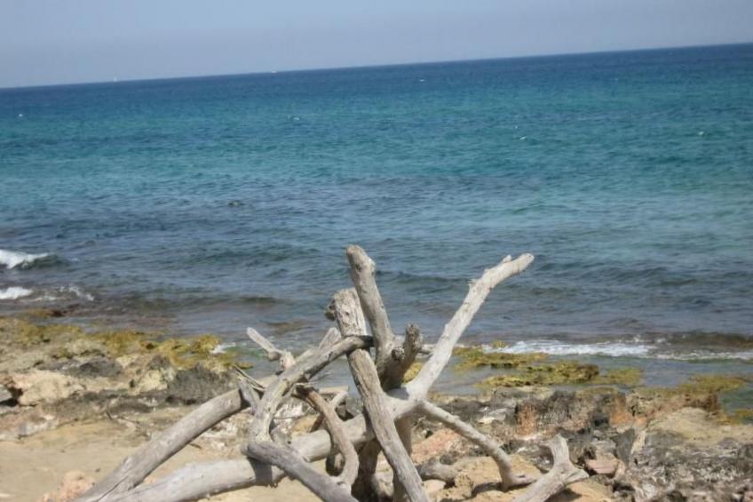 für 4 Personen 90qm Agnone Bagni - foto 22