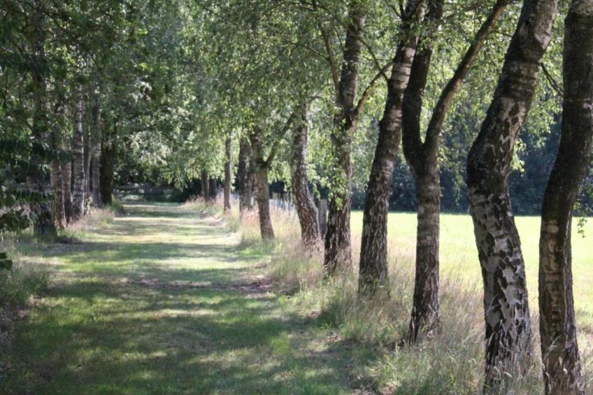 Vakantiepark de Tabaksschuur - foto 20