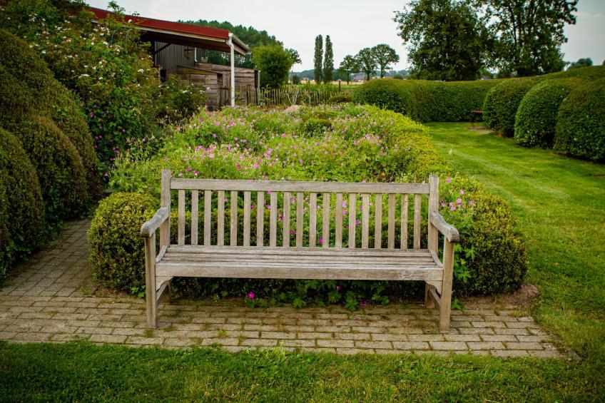 Casteeldoorn - foto 16