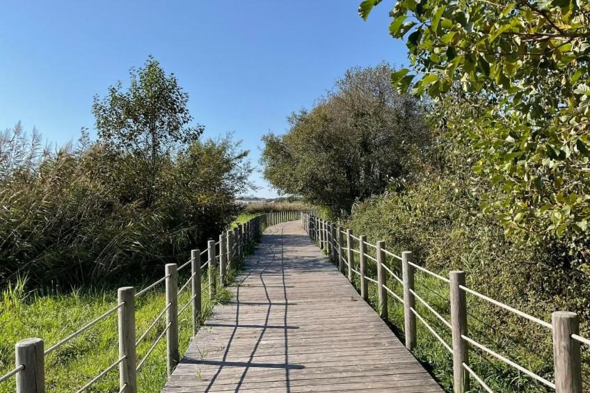 Casa da Guilheta - foto 53