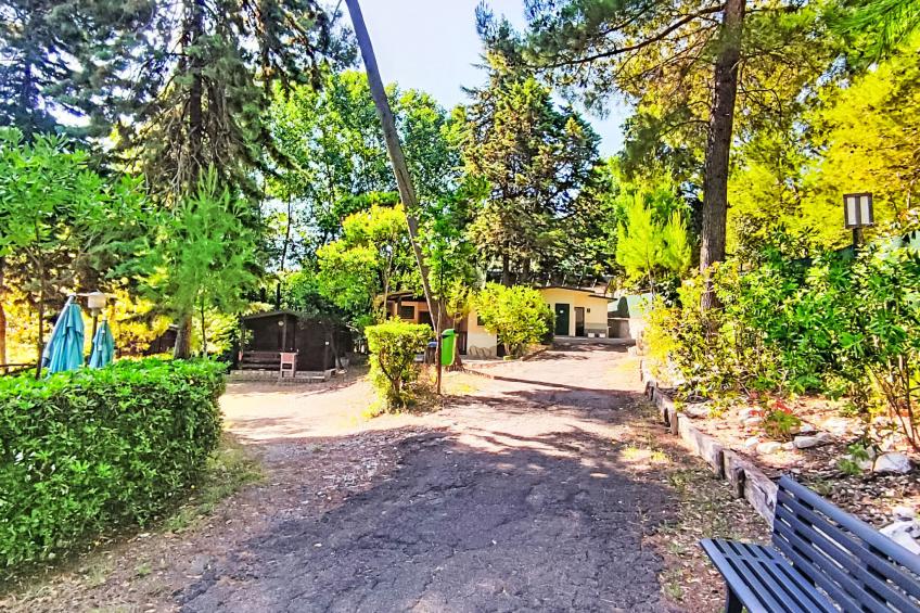 Internazionale Camping Village - foto 58