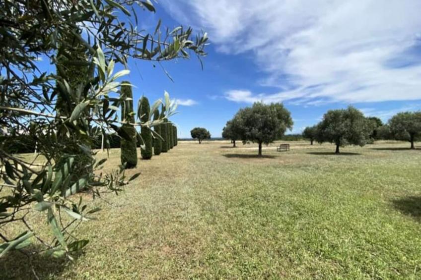 04b6 : Beau Studio Dans Un Mas Provençal - Piscine - foto 15