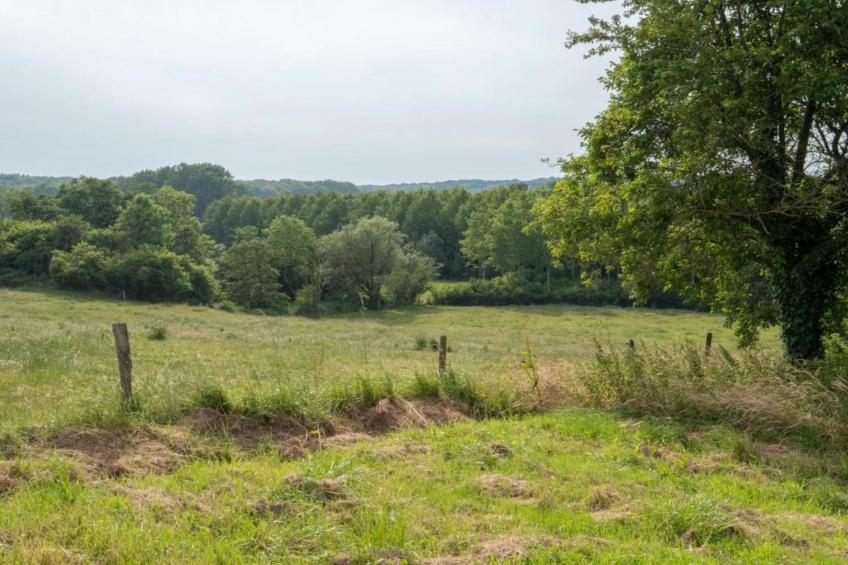 Les Tropiques - foto 28