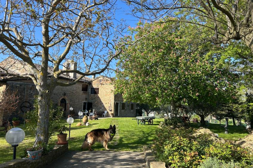 Bauernhaus Santa Maria del Monte - foto 3
