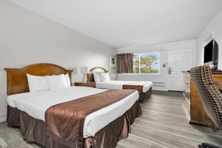 1 King - 2 Queen Beds  Suite Non-Smoking - foto 22