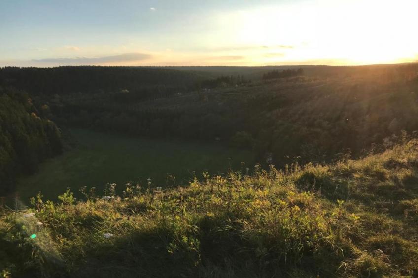 Bergfeld - foto 39