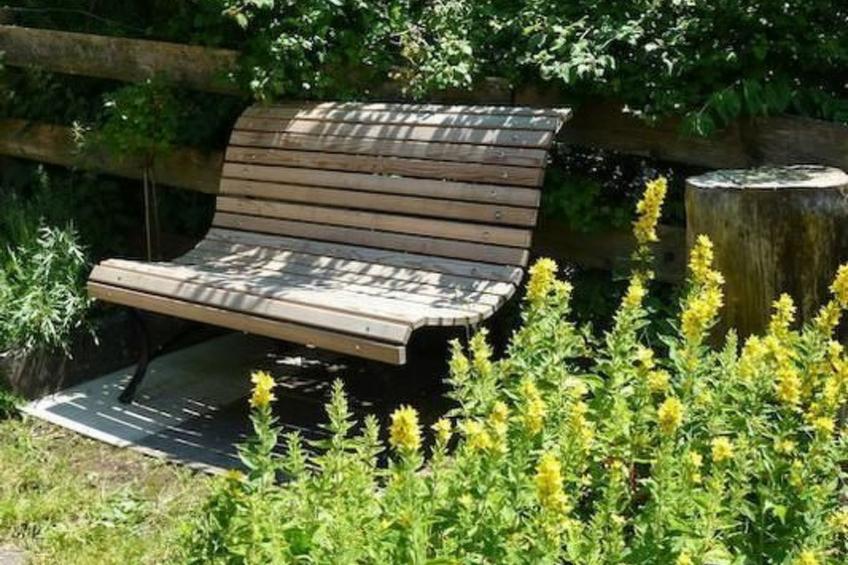 Flädermuus - foto 11