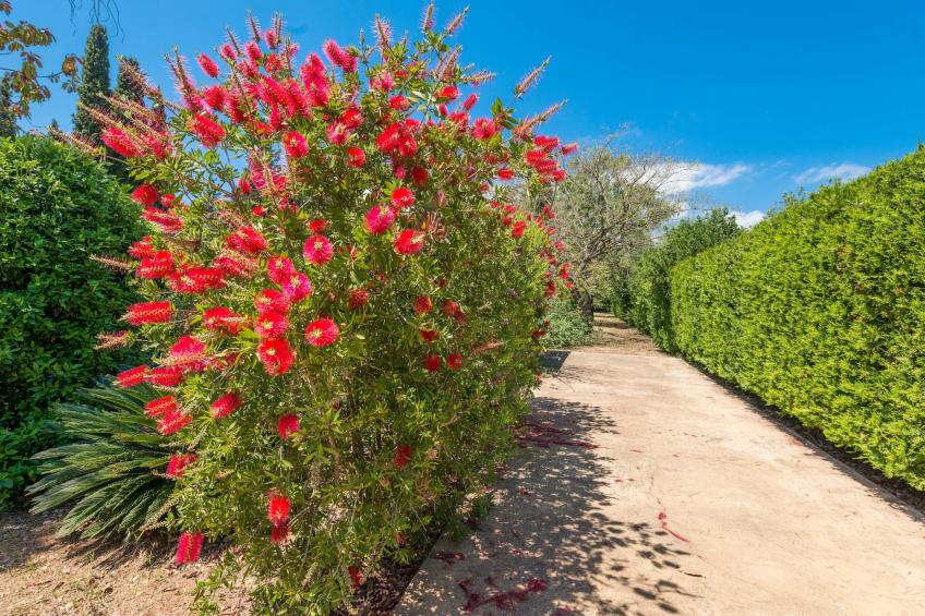 Ca Na Sioneta - foto 47