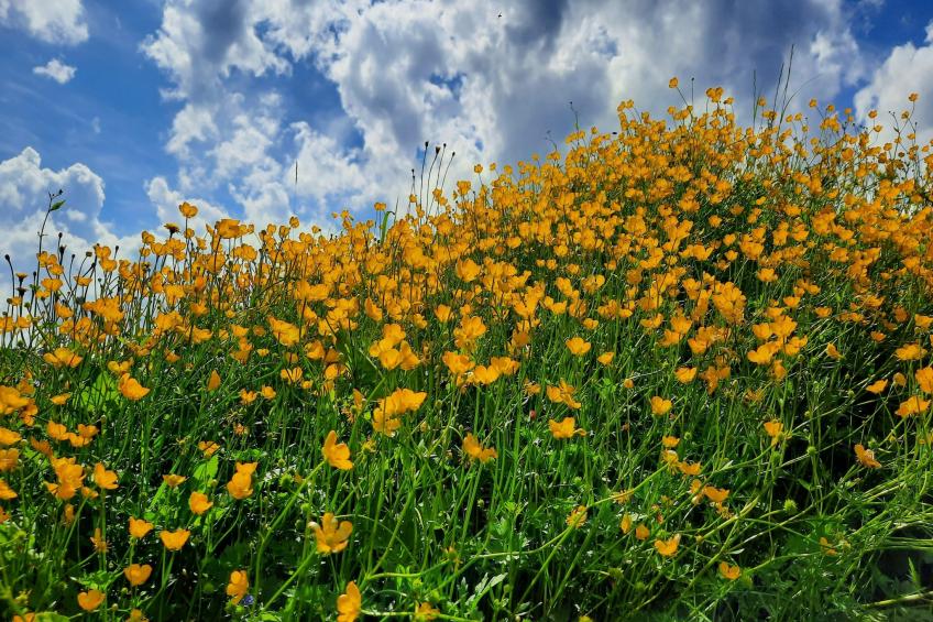 Zuckerbauernhof Weideblick - foto 32