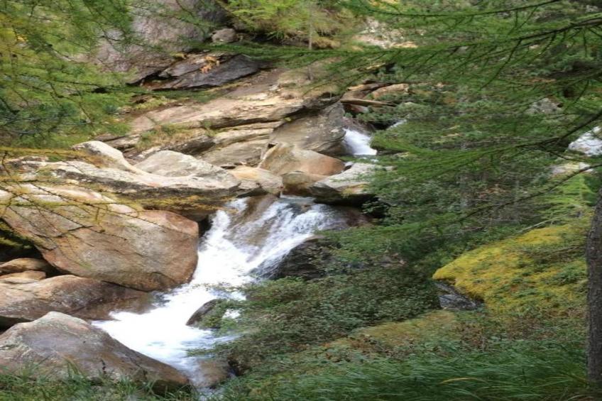 Haus Alpenstern Wohnung Älpi - foto 29