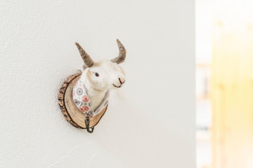 Chesa Michel Palü - foto 21