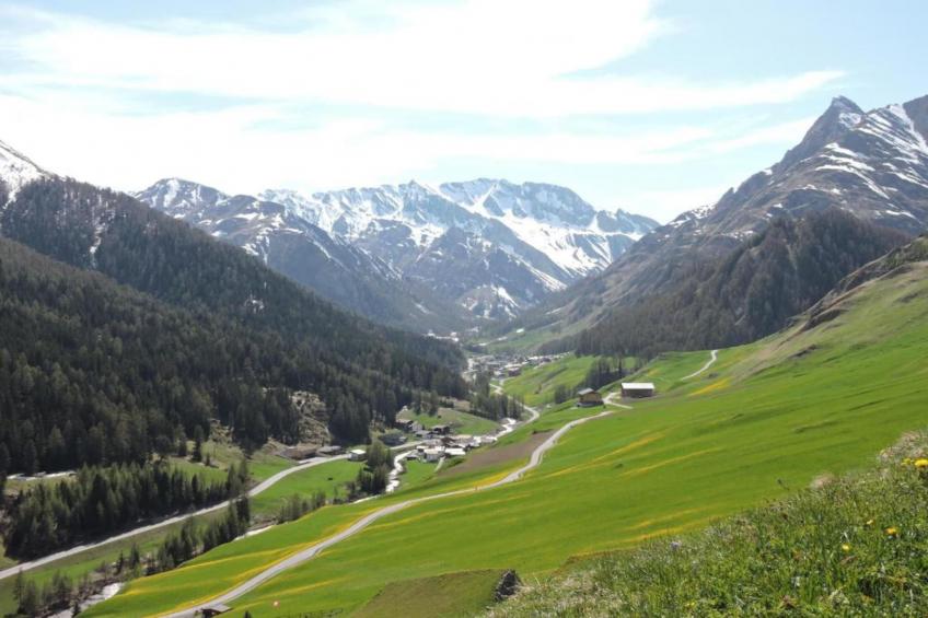 Haus Carnot - Apartment EG - foto 32