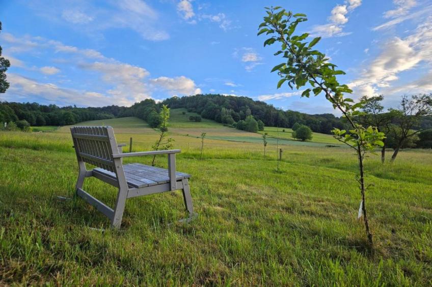 Dolina Bobru - foto 20