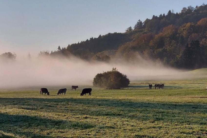 Historisches Riegel-Doppelbauernhaus - foto 6
