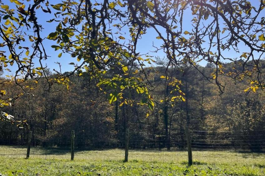 Les Côteaux de Sarlat - foto 39